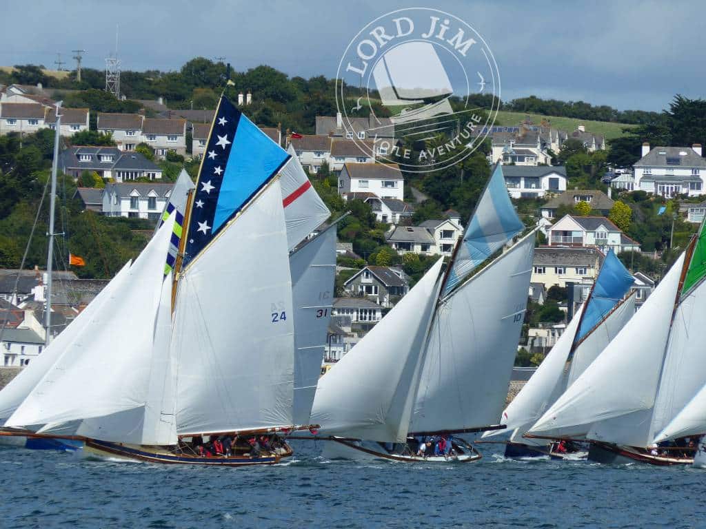 Falmouth oyster regate