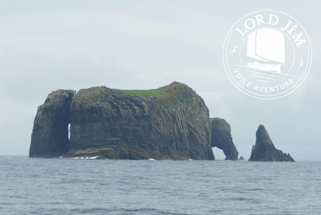 Navigatio Irlande The Cow